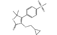 Firocoxib189954-96-9 NSAID in dogs and horses for the control of pain and osteoarthritis