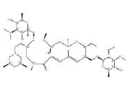 Tilmicosin 108050-54-0 